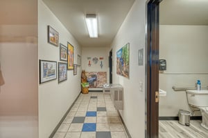 24263495