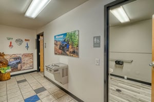 24263494