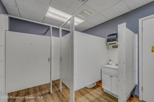 23856431