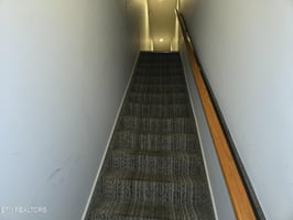 23857569