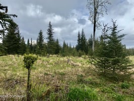 23876643