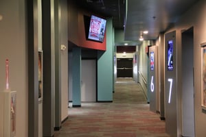 23880236