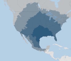 23883401
