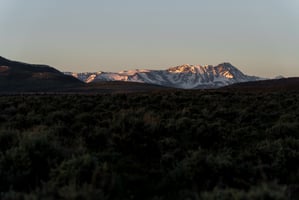 23895225