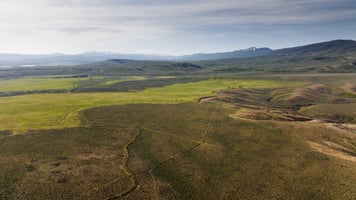 23895223