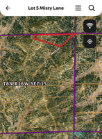 23900653