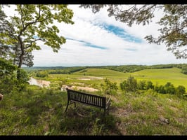 31373009