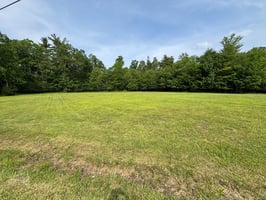 23906381