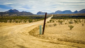 23906454