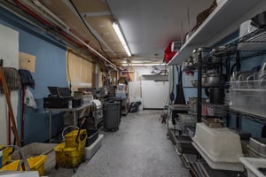23907981