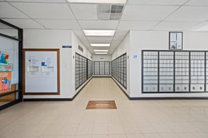 28932081
