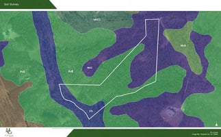 23913541