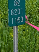 23915571