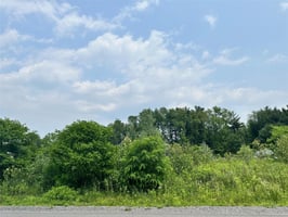 23915621