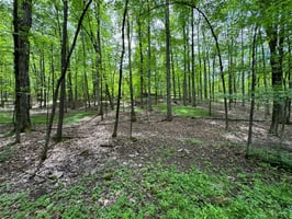 23915674
