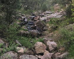 23917243