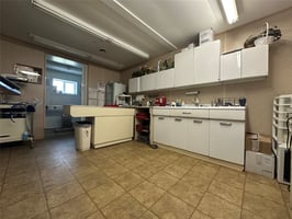 29505806