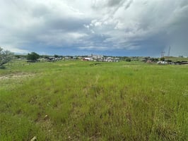 29505791
