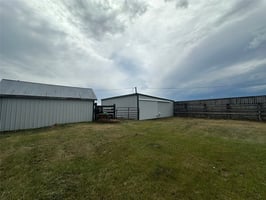 29505781
