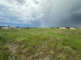 29505788