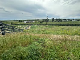 29505771