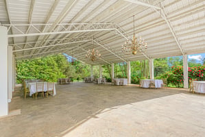 23918699