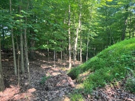 23922454