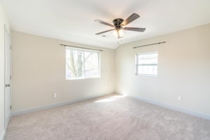23923031