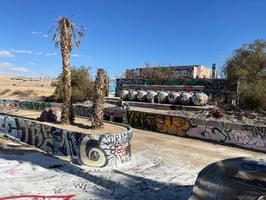 23924486