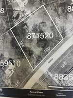 23925239