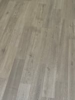 25737689