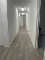 25737690