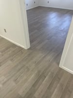 25737688