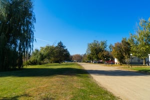 23926416