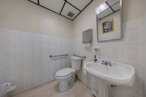 24203982