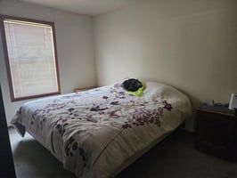 23946390