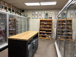 24079166