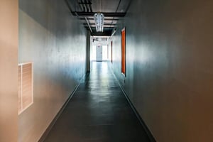 31289123