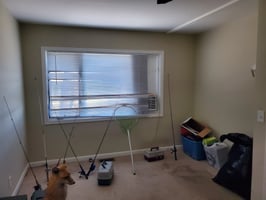 29217119