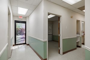 25715291