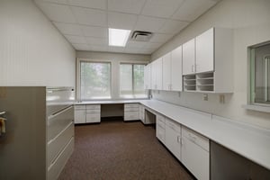 25715305