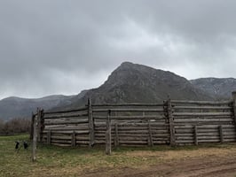 24145766