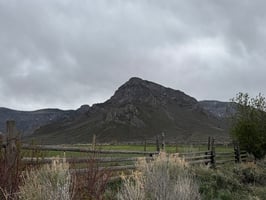 24145736