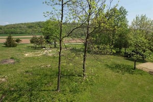24149829