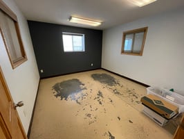 24408698