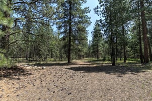 24156953