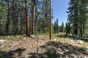 24156950
