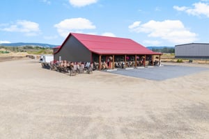 24397356