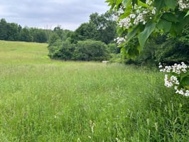 24158197