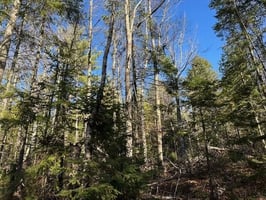 24163877
